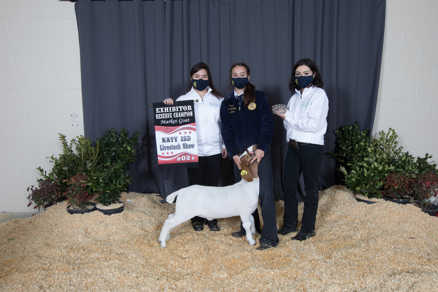 Cole Bearden of Paetow High School took the grand champion award for the goat competition this year with his $6,500 animal. He was followed by Erin Sword (above) of Katy High took reserve champion with her $5,000 project goat. In the showman competition, Tabitha Byrd of Paetow High School took the grand champion showman title with her $3,000 goat, followed by reserve champion showman Kaylee Binford of Katy High School’s $2,300 animal.
